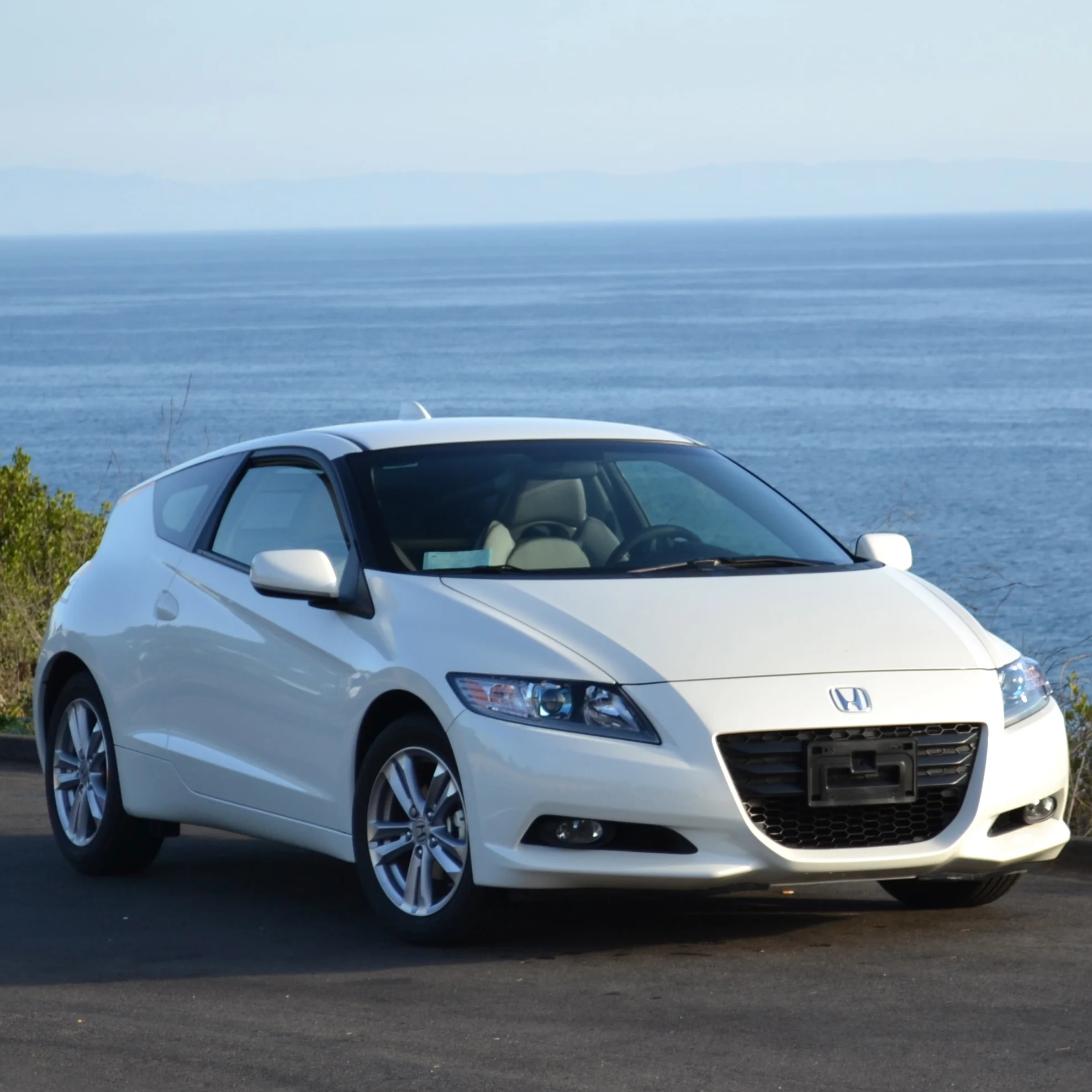 DSC_0045.webp