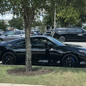 black-prelude-6g-texas.webp