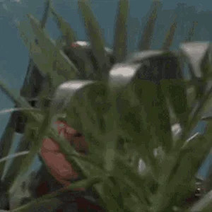 arte-johnson-very-interesting.gif
