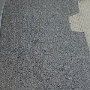 Media 'IMG_5461.webp' in category '6G 2026+ Honda Prelude Pictures & Videos'